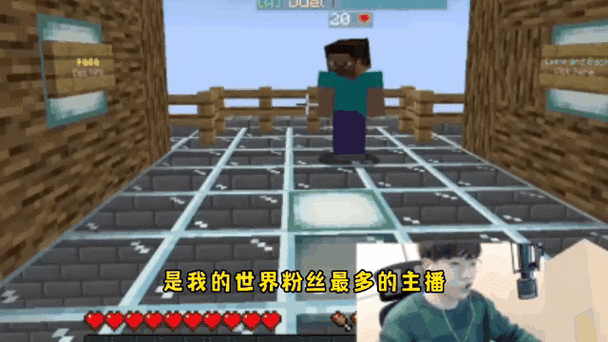我的世界粉丝最多的主播截图