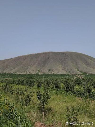 免流量玩火山是真的吗截图