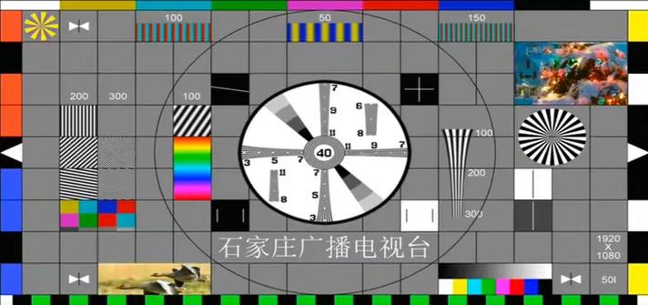 石家庄电视台都市频道在线直播节目预告截图