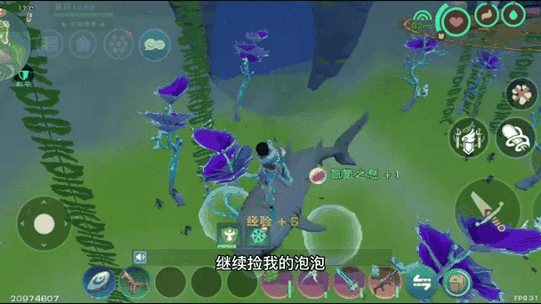 创造与魔法船宝鹅