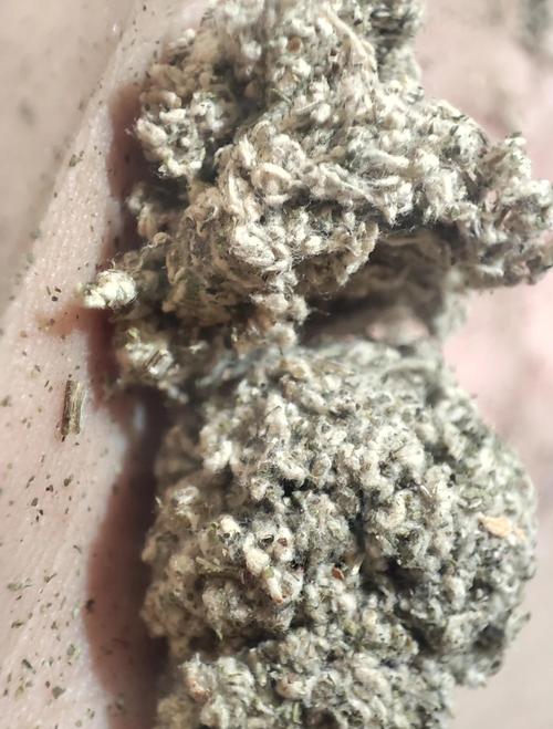 艾希2手机版游戏截图