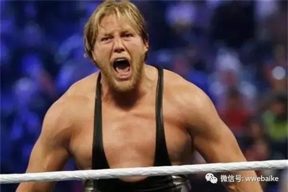 wwe自动追怪指令图标