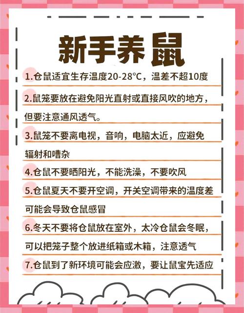 怎么养小仓鼠