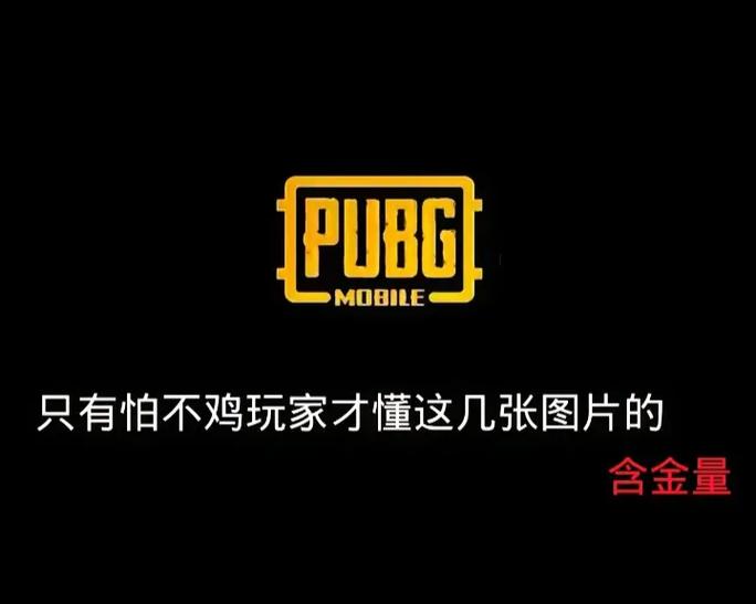 怕不鸡