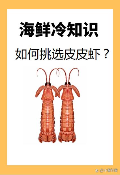 皮皮虾是海鲜吗缩略图