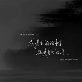 打字录入app平台
