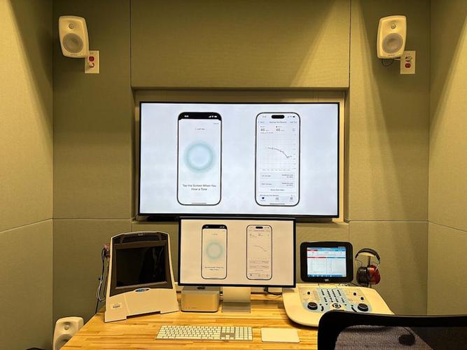 苹果手机音频文件位置截图