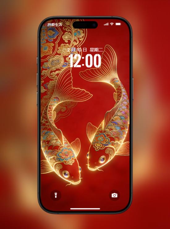 锦鲤是招财还是破财截图