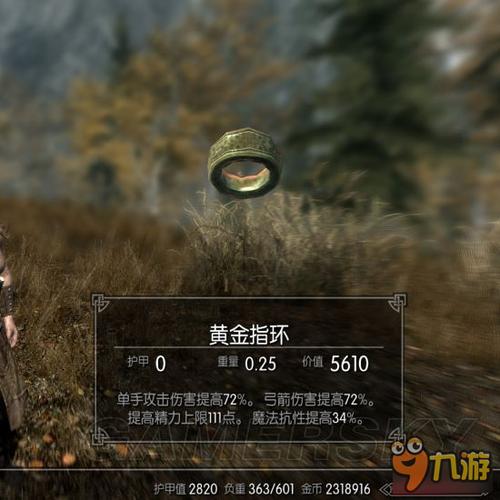 上古卷轴治疗药水代码缩略图