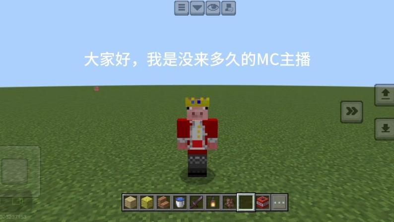 我的世界外囯主播缩略图