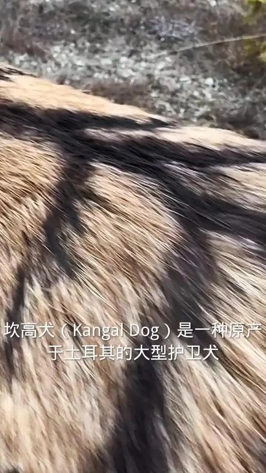 蓝牙耳机突然发热截图