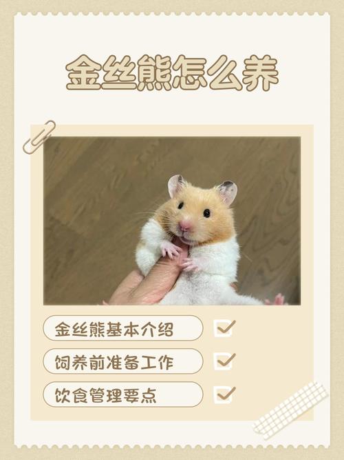 金丝熊储精缩略图