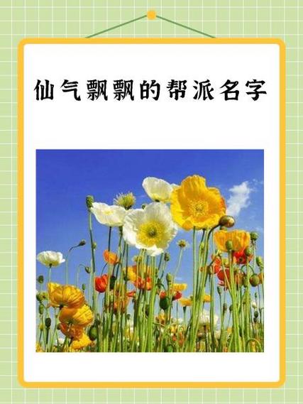 罕见好听的帮派名字