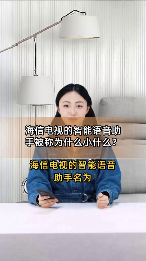 海信电视声控喊什么图标
