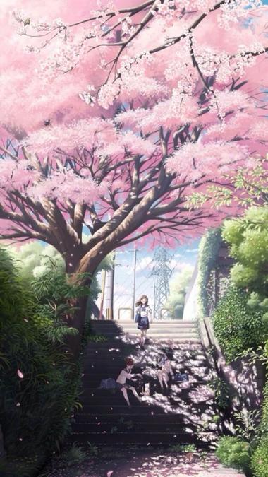 樱花动漫官方网页版入口