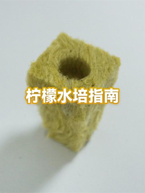 柠檬泡水喝的功效与作用游戏截图