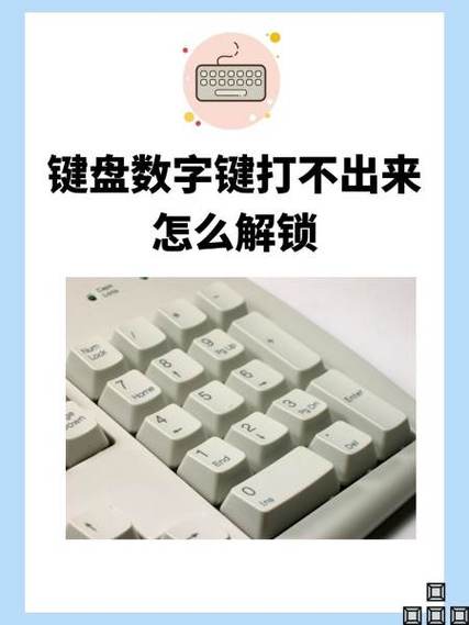 键盘字母上面数字失灵截图