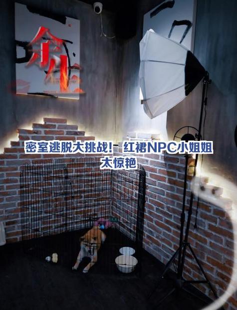 真人密室逃脱 红