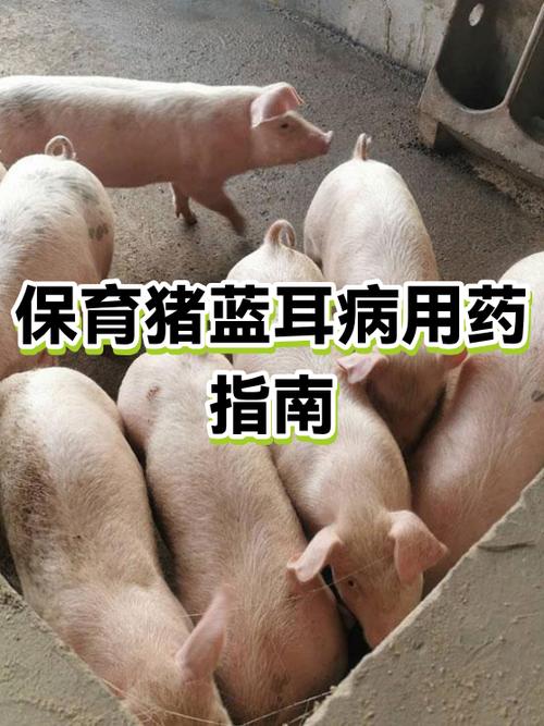 不入耳蓝牙耳机哪个牌子好缩略图