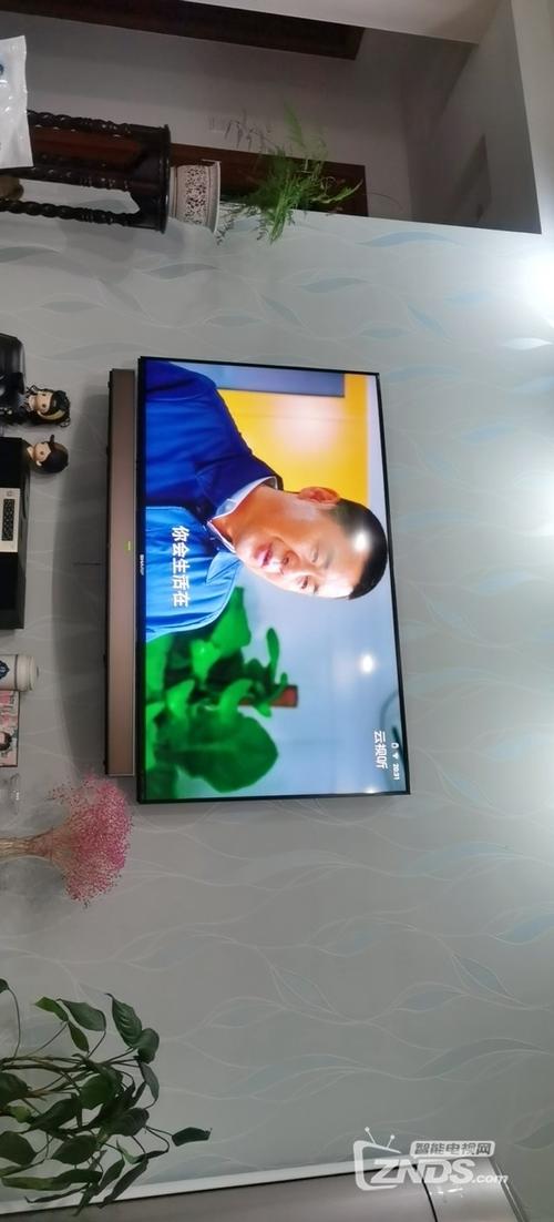 电视闪退是电视还是网络原因游戏截图
