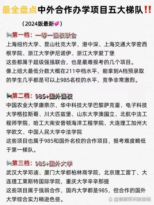 云南大学中外合作办学专业有哪些