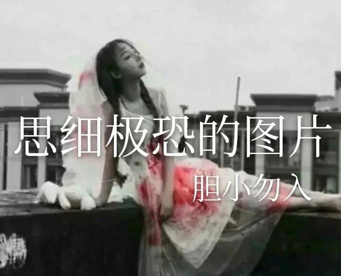 极思恐极和细思恐极区别图标