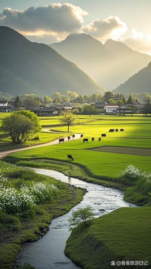悠然田园生活免费阅读缩略图