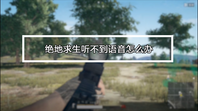 pubg突然听不到队友说话截图