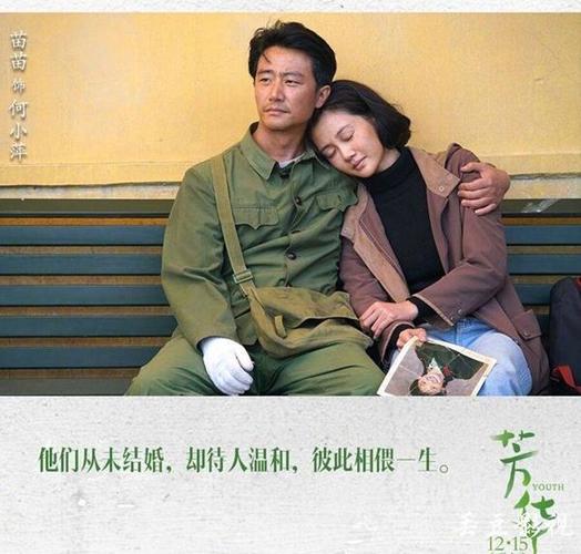 芳华全本TXT下载