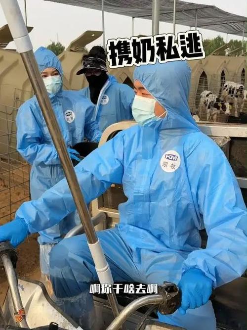 奶牛直播间现场直播