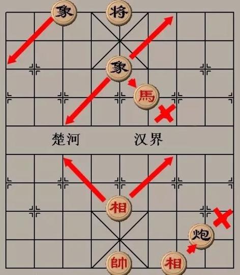 多乐中国象棋竞技版图标