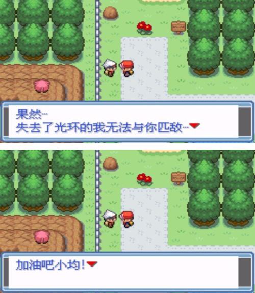 口袋妖怪焱の冒险下载缩略图