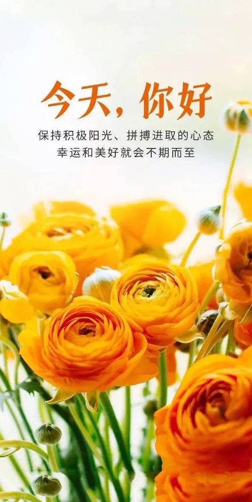 了解朋友的100个问卷缩略图