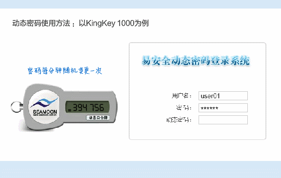 动态口令牌是什么意思图标