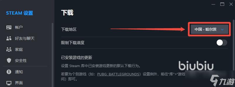steam打开游戏闪退