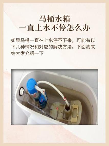 马桶水箱一直响什么原因游戏截图
