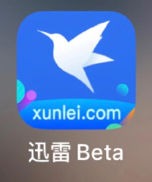 ios迅雷下载链接图标