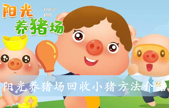阳光养猪场金猪