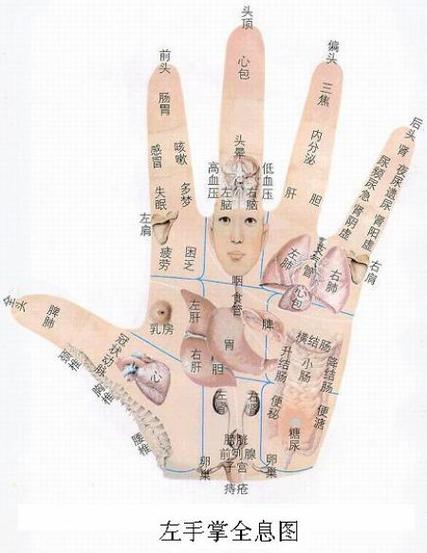 阴阳掌口诀截图