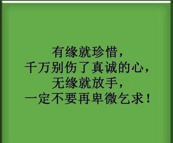 有正规的相亲平台吗