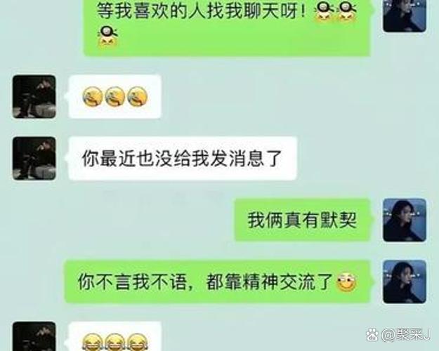 小度回家看看有记录吗游戏截图