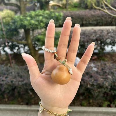 绕指柔小葫芦怎么盘图标