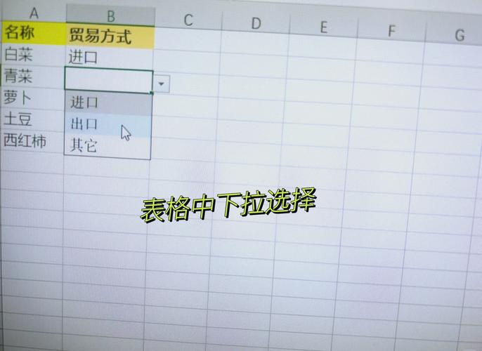 怎么去掉表格下拉选项缩略图