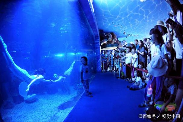 我的世界暖水海洋指令