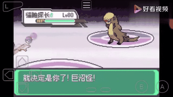 口袋妖怪究极绿宝石二