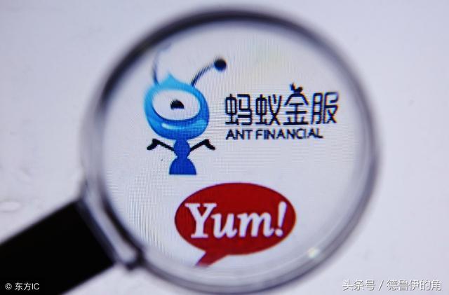 支付宝蚂蚁微客