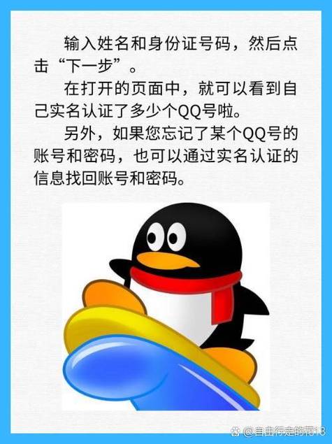 qq可以实名认证几个号图标