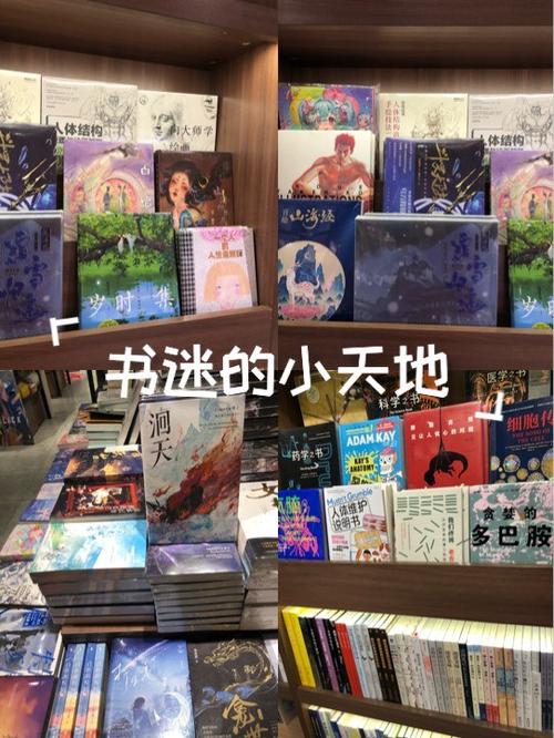 热门小说软件排行榜游戏截图