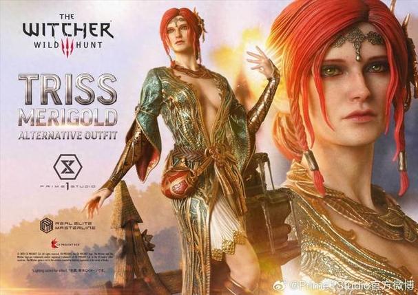 巫师3盗版和正版区别图标