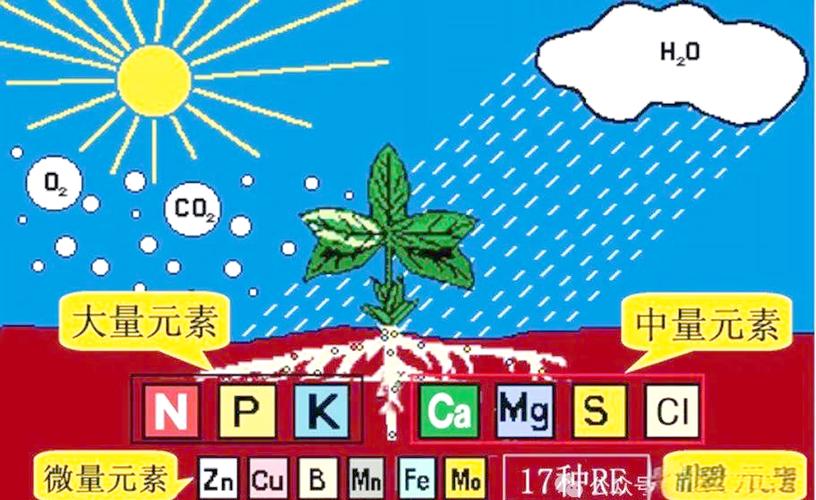 植物大战僵尸2中元素植物有哪些截图